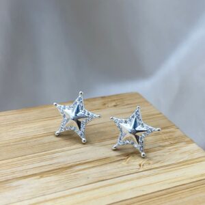 Brinco Estrela Borda Cravejada De Prata