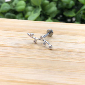 Piercing Detalhado com Zircônias - Imagem 10