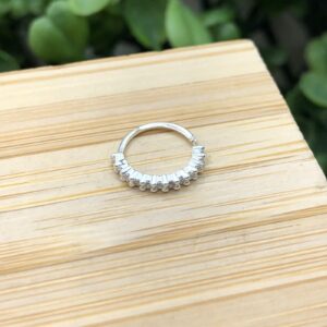 Piercing Furo Septo Argola Cravejada