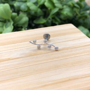 Piercing Detalhado com Zircônias